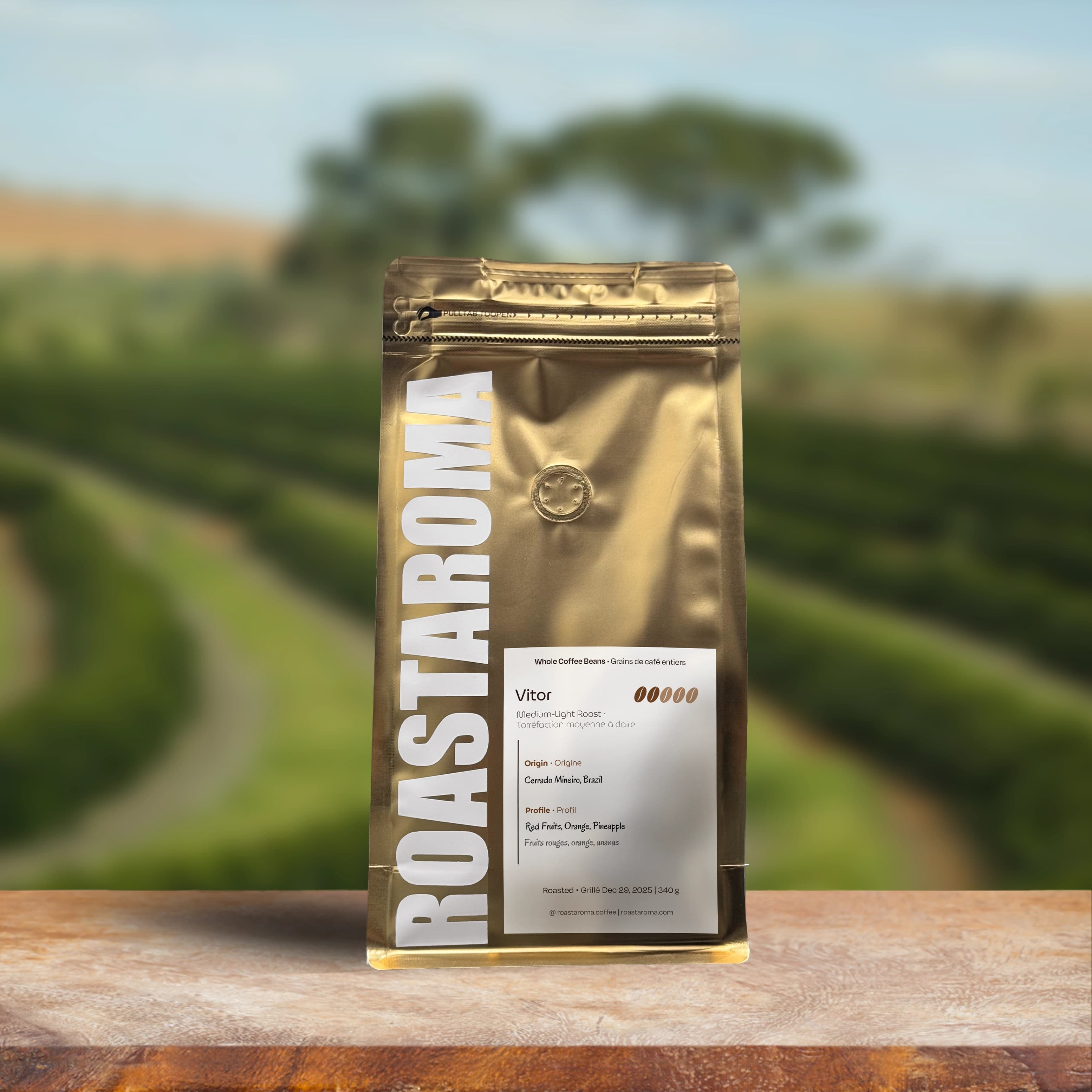 Vitor - Brazillian Fazenda Paraiso Natural Fermented
